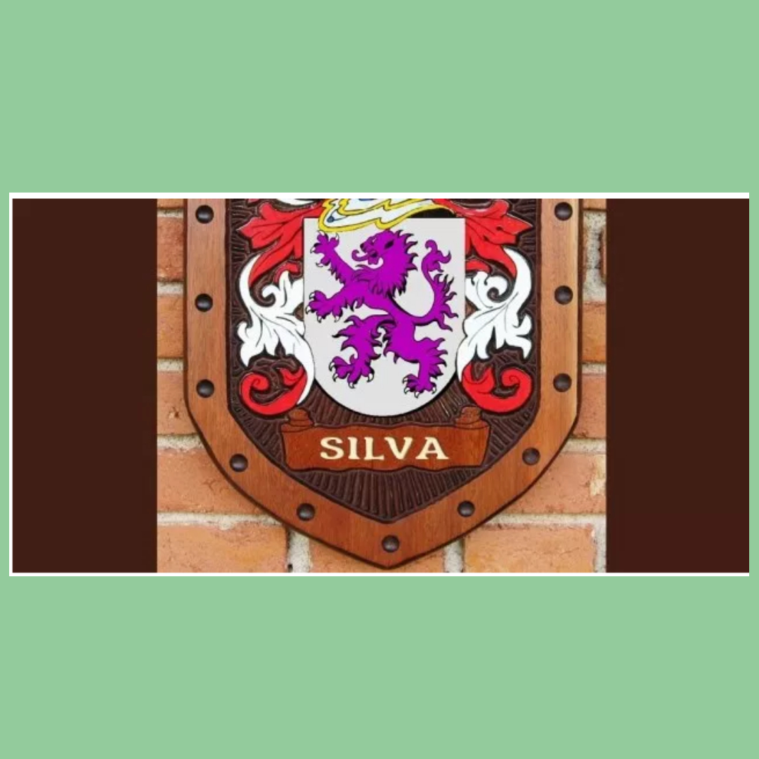 Você acredita que o Sobrenome Silva também pode ser Italiano? Você acredita que o Sobrenome Silva também pode ser Italiano?