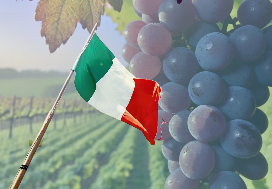 Featured image for “O Legado das Videiras e o Resgate da Identidade Italiana no Brasil”